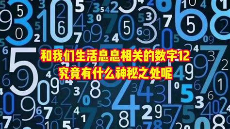 數字10|10（自然数之一）